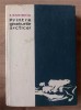 Printre gheturile arcticei- K. Badighin