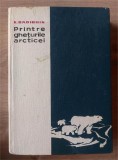 Printre gheturile arcticei- K. Badighin