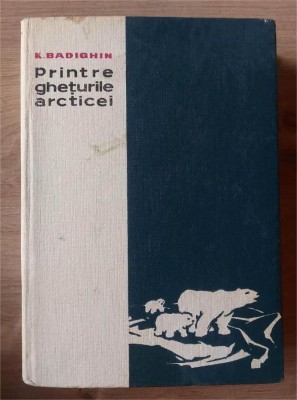Printre gheturile arcticei- K. Badighin foto