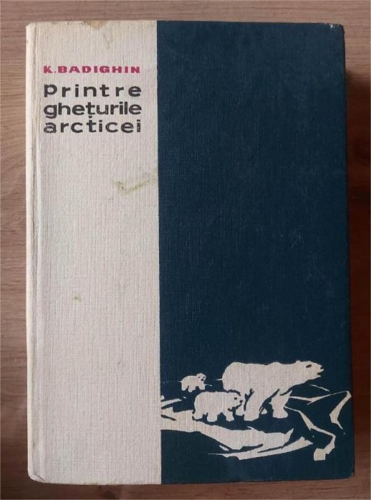 Printre gheturile arcticei- K. Badighin