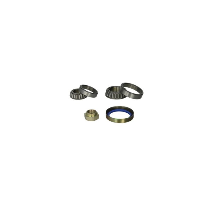 Set rulment roata PEUGEOT J5 platou sasiu 290L FAG 713 6504 10