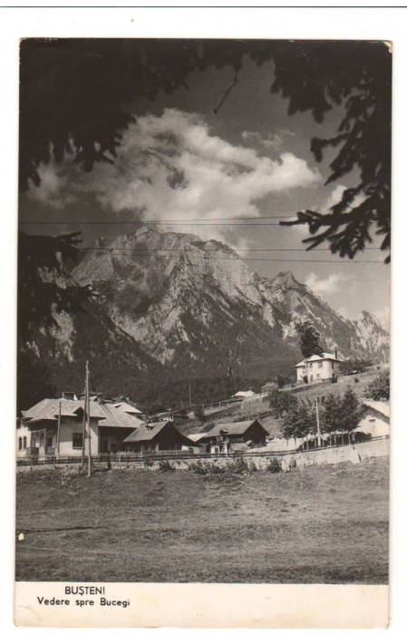 CPI B12929 CARTE POSTALA - BUSTENI, VEDERE SPRE BUCEGI, RPR