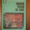 CIANURA PENTRU UN SURAS-RODICA OJOG-BRASOVEANU ,1975