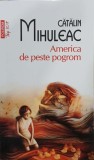 America de peste pogrom - Catalin Mihuleac - Roman