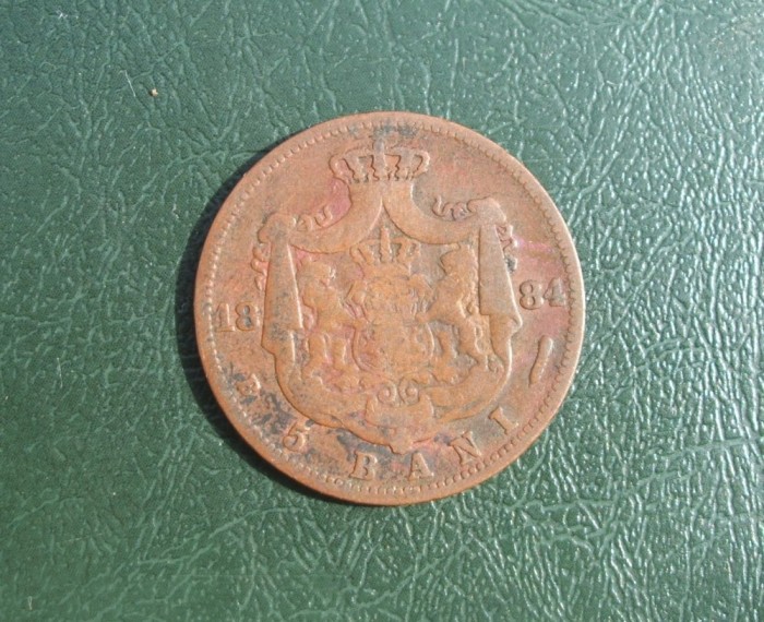 5 bani 1884