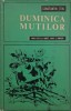 Duminica muntilor - Constantin Toiu