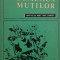 Duminica muntilor - Constantin Toiu