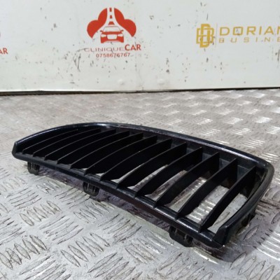 Grila Bmw Seria 3 E90 2004-2011 foto
