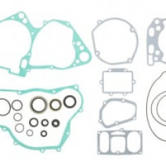 Set garnituri motor compatibil: SUZUKI RM 250 1996-1998