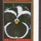 AJMAN 1972 FLORA ( serie dantelata) MNH
