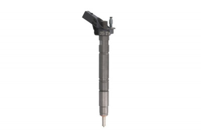 Injector AUDI Q7 (4L) (2006 - 2015) BOSCH 0 445 117 021 foto