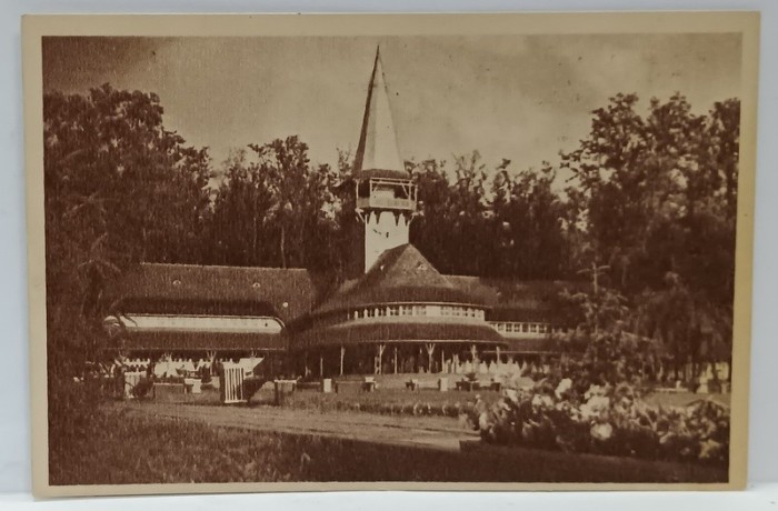 SNAGOV , BUFETUL SI STRANDUL C.F.R. , CARTE POSTALA ILUSTRATA , ANII &#039;50