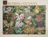 BC306, Guyana 1990, bloc flori, orhidee, Nestampilat