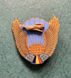 Insigna Scoala Ofiteri Naviganti Aviatie Militara Romania