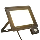 Cumpara ieftin Proiector LED cu senzor, 100 W, alb cald