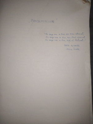 MANUSCRIS - roman nepublicat / traducere - 96 file A4 foto
