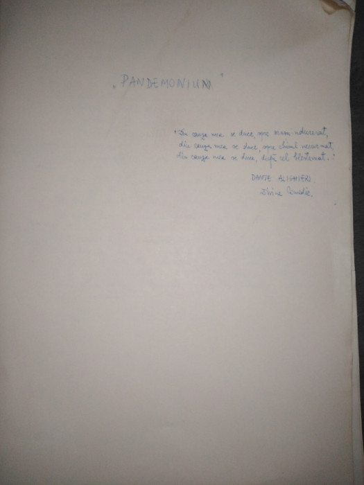 MANUSCRIS - roman nepublicat / traducere - 96 file A4
