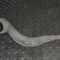 Braț curbat st&acirc;nga față BMW 8 Coupe G15, F92 2020 OEM: Coupe | 12188225