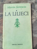 Marin Sorescu -La lilieci