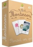 Cumpara ieftin Montessori. Clasificare. Pamant, aer, apa/***