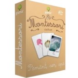 Montessori. Clasificare. Pamant, aer, apa/***