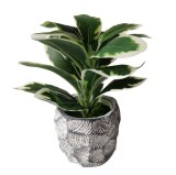 Planta artificiala 7272-38, in ghiveci, plastic, gri + verde, 15 cm