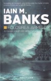 Iain M. Banks - Folosirea armelor