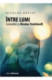 Intre lumi. Convorbiri cu Nicolae Steinhardt - Nicolae Baciut