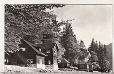 bnk cp Muntii Bucegi - Cabana Poiana Stanii - circulata
