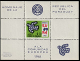 Paraguay 1961-C.E.P.T.1958,Europa Unita,colita dantelata,nestampilata,Mi.Bl.15, Organizatii internationale, Nestampilat