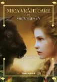 Mica vrajitoare. Promisiunea. Volumul VI/Lene Kaaberbol, Paralela 45