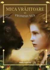 Mica vrajitoare. Promisiunea. Volumul VI/Lene Kaaberbol