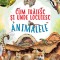 Cum traiesc si unde locuiesc animalele
