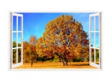 Sticker decorativ, Fereastra 3D, Padure, 85 cm, 320STK, natura si peisaje