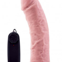 Vibrator Realistic Dr. Skin Dr. Joe, Natural, 20 cm