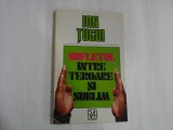SUFLETUL INTRE TEROARE SI SUBLIM - ION TUGUI
