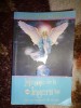 Mesaje de la ingerii tai / ce vor ingerii tai sa stie - Doreen Virtue 281 pagini