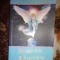 Mesaje de la ingerii tai / ce vor ingerii tai sa stie - Doreen Virtue 281 pagini