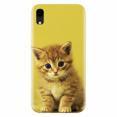Husa silicon pentru Apple Iphone XR, Baby Kitten foto