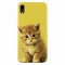 Husa silicon pentru Apple Iphone XR, Baby Kitten