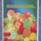 Hai la fructe de vanzare, Olimpia Sava, 2009, 48 pag, stare fb