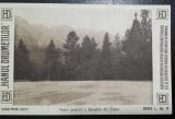 Carte postala, Vedere generala a Bucegilor din Sinaia, perioada interbelica