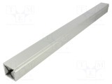 Radiator aluminiu extrudat FISCHER ELEKTRONIK 600mm x 40mm x 40mm