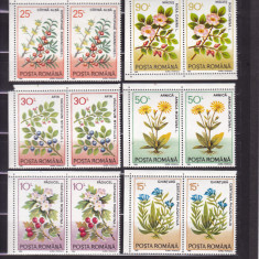 ROMANIA 1993 LP 1310 PLANTE MEDICINALE PERECHE SERII MNH