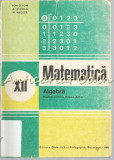 Matematica. Algebra. Manual Pentru Clasa a XII-a - Ion D. Ion