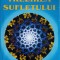 TREZIREA SUFLETULUI-CRISTIAN CONSTANTIN TURCANU-253875