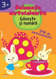 Gaseste si numara. Balonase autocolante +3 ani - Litera