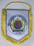 Fanion nou International Police Association Romania,dimensiuni=200 x 150 mm