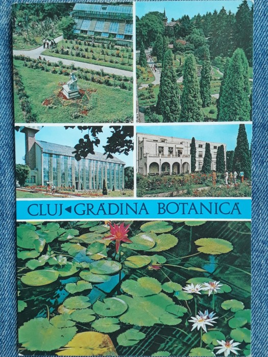 677 - Cluj-Napoca , Gradina botanica / vedere multipla circulata