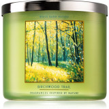 Bath &amp; Body Works Birchwood Trail lum&acirc;nare parfumată 411 g